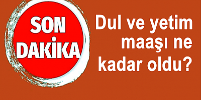 Dul ve yetim maaşı ne kadar oldu? 