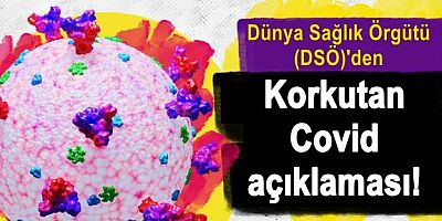Dünya Sağlık Örgütü (DSÖ)'den korkutan Covid açıklaması!