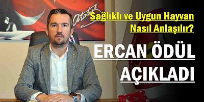 Ercan Ödül Açıkladı: Sağlıklı ve Uygun Hayvan Nasıl Anlaşılır?