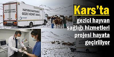Gezici hayvan sağlığı hizmetleri projesi hayata geçiriliyor