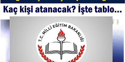Hangi branştan kaç aday sınava girdi, kaç kişi atanacak? 