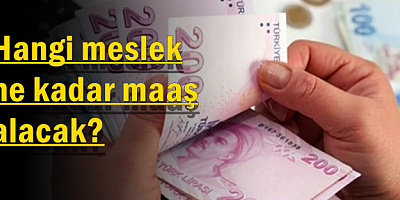 Hangi meslek ne kadar maaş alacak?
