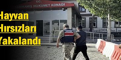 Hayvan Hırsızları Yakalandı