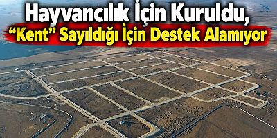 Hayvancılık İçin Kuruldu, “Kent” Sayıldığı İçin Destek Alamıyor