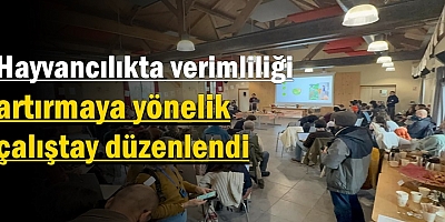 Hayvancılıkta verimliliği artırmaya yönelik çalıştay düzenlendi