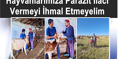 Hayvanlarımıza Parazit İlacı Vermeyi İhmal Etmeyelim