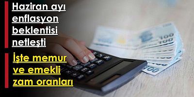 Haziran ayı enflasyon beklentisi netleşti