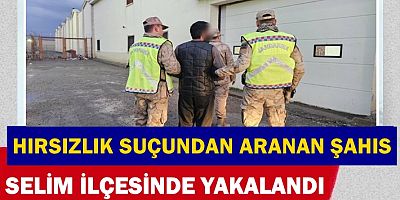 HIRSIZLIK SUÇUNDAN ARANAN ŞAHIS SELİM'DE YAKALANDI