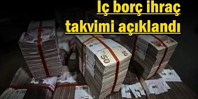 İç borç ihraç takvimi açıklandı