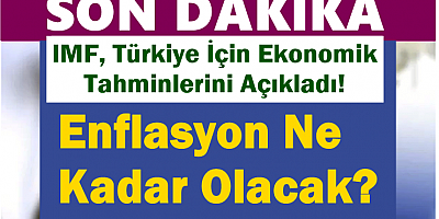 IMF, Türkiye İçin Ekonomik Tahminlerini Açıkladı!