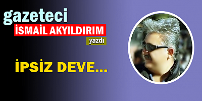İPSİZ DEVE...