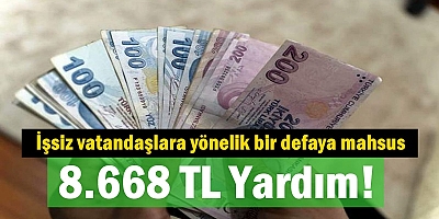 İşsizlere 8.668 TL Yardım! Aile Bakanlığı'nın Yeni Destek Programı Başladı