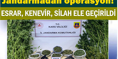 Jandarmadan operasyon, esrar, kenevir, silah ele geçirildi