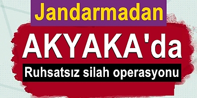 Jandarmadan ruhsatsız silah operasyonu
