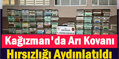 Kağızman'da Arı Kovanı Hırsızlığı Aydınlatıldı