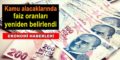 Kamu alacaklarında faiz oranları yeniden belirlendi