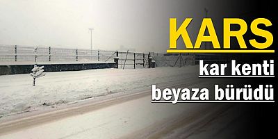 Kar kenti beyaza bürüdü