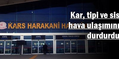 Kar, tipi ve sis hava ulaşımını durdurdu