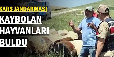 KARS JANDARMASI, KAYBOLAN HAYVANLAR BULDU