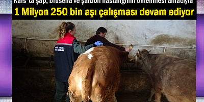 Kars’ta 1 Milyon 250 bin aşı çalışması devam ediyor