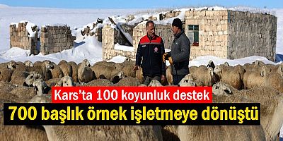 Kars’ta 100 koyunluk destek 700 başlık örnek işletmeye dönüştü