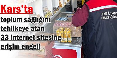Kars'ta 33 internet sitesine erişim engeli
