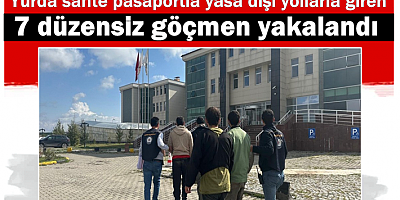 Kars'ta 7 düzensiz göçmen yakalandı