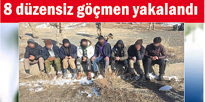 Kars'ta 8 düzensiz göçmen yakalandı