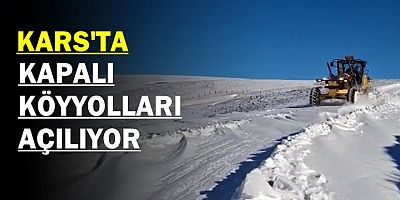 Kars'ta etkili olan yoğun kar yağışı ve tipi hayatı olumsuz etkiliyor