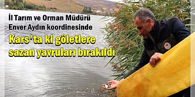Kars'ta göl ve göletlere 520 bin sazan yavrusu bırakıldı