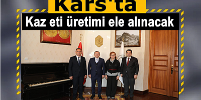 Kars'ta kaz eti üretimi ele alınacak