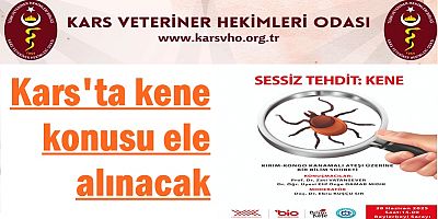Kars'ta kene konusu ele alınacak