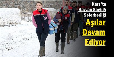 Kars'ta Kış Demeden Hayvan Sağlığı Seferberliği