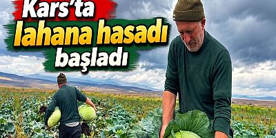Kars’ta lahana hasadı başladı