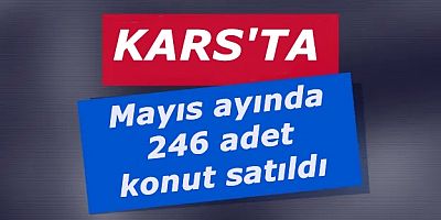 Kars'ta Mayıs ayında 246 adet konut satıldı