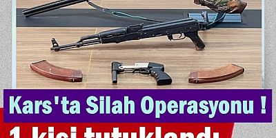 Kars'ta Silah Operasyonu düzenlendi 1 kişi tutuklandı