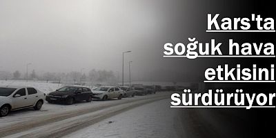 Kars'ta soğuk hava etkisini sürdürüyor