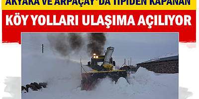 Kars'ta tipiden 29 köy yolu ulaşıma kapandı