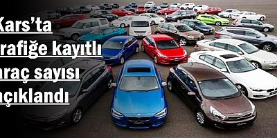 Kars’ta trafiğe kayıtlı araç sayısı açıklandı