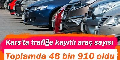 Kars'ta trafiğe kayıtlı araç sayısı toplamda 46 bin 910 oldu