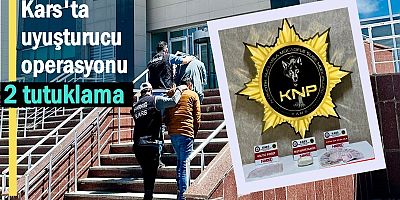 Kars'ta uyuşturucu operasyonu: 2 tutuklama