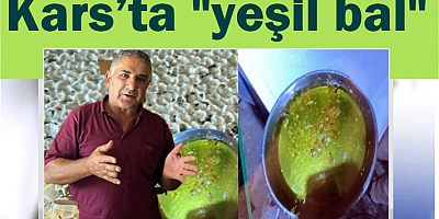 Kars’ta yeşil bal