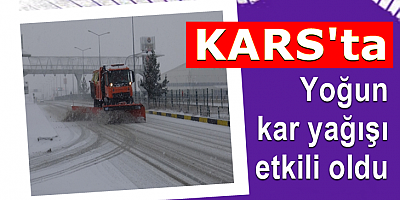 KARS'TA YOĞUN KAR YAĞIŞI BAŞLADI