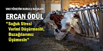 Kars VHO'dan Üreticiye Hayati Kış Uyarısı