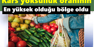 Kars yoksulluk oranının en yüksek olduğu bölge oldu