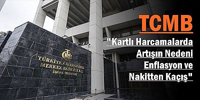 Kartlı Harcamalarda Artışın Nedeni