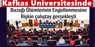 KAÜ'de çalıştay gerçekleşti