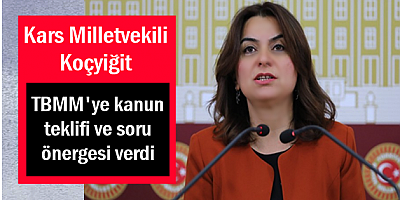 Koçyiğit TBMM'ye kanun teklifi ve soru önergesi verdi