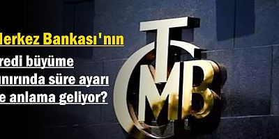 Kredi büyüme sınırında süre ayarı ne anlama geliyor?