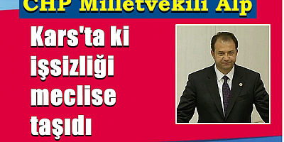 Milletvekili Alp, Kars'ta ki işsizliği meclise taşıdı
